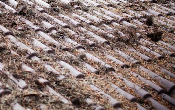 Silverburn roof cleaning companies